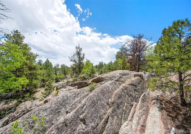 3rd image of 527 Plateau Dr, Florissant, CO 80816 | MLS# 6807033