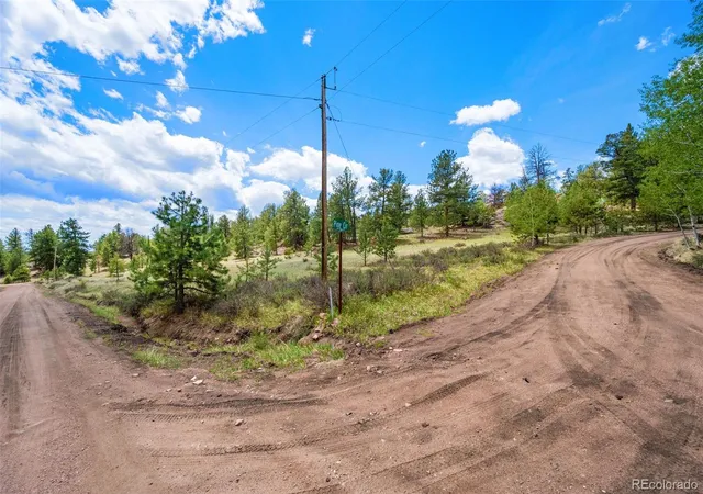 4th image of 527 Plateau Dr, Florissant, CO 80816 | MLS# 6807033
