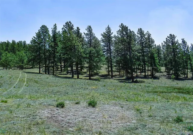 Land for sale at 000 6th Street, Guffey, CO 80820 | MLS# 1745051