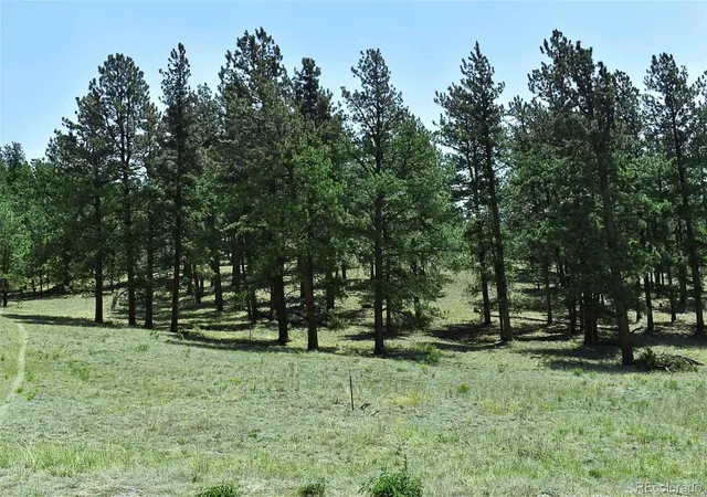 Photo 2 of Land for sale at 000 6th Street, Guffey, CO 80820 | MLS# 1745051 | Listing updated on 2026-09-11
