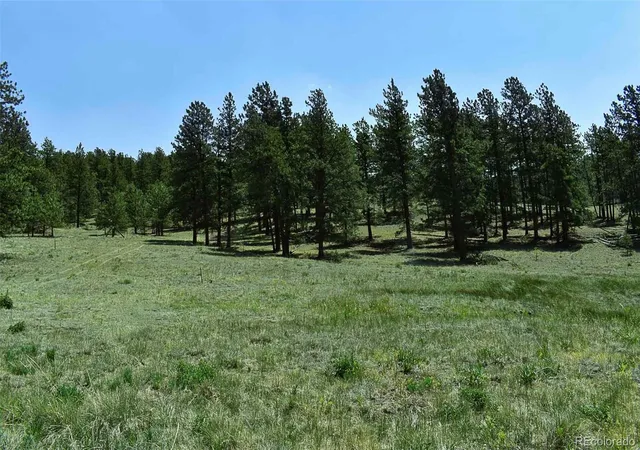 3rd image of 000 6Th St, Guffey, CO 80820 | MLS# 1745051