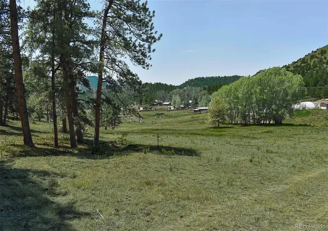 Homes for sale in Guffey, CO | 000 6th St, Guffey, CO 80820 | MLS# 1745051
