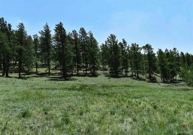 4th image of 000 6Th St, Guffey, CO 80820 | MLS# 1745051