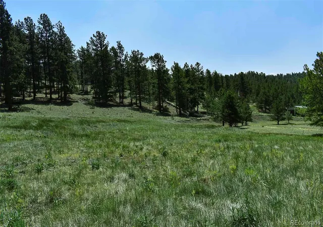 5th image of 000 6Th St, Guffey, CO 80820 | MLS# 1745051