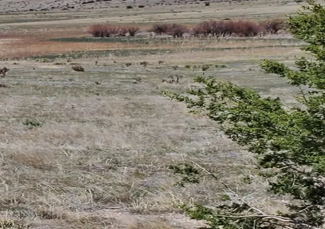 2nd image of (Undisclosed), Pueblo, CO 81004 | MLS# 2193857