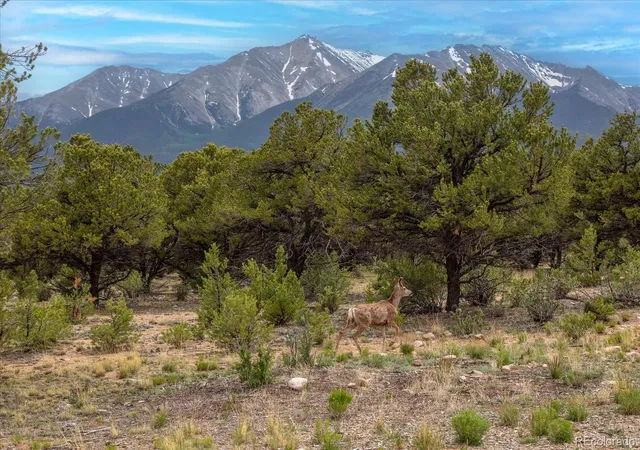 Photo 5 of Land for sale at 29274 Lakota Ln, Buena Vista, CO 81211 | MLS# 2203610 | Listing updated on 2026-07-21