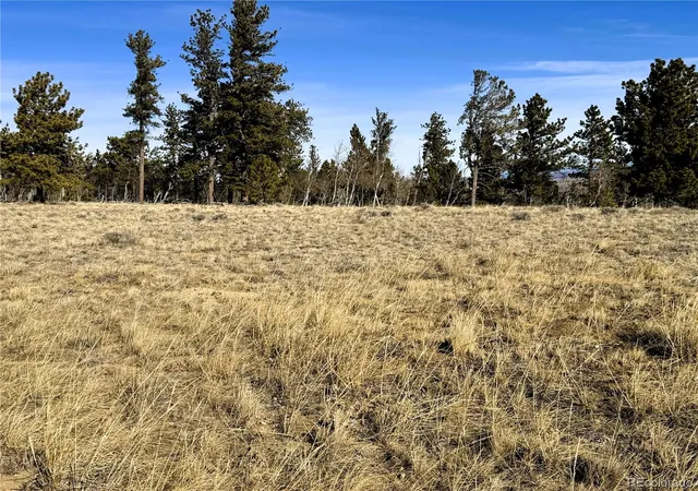Photo 1 of Land for sale at 620 Wagon Wheel Rd, Hartsel, CO 80449 | MLS# 3306317 | Listing updated on 2026-03-12