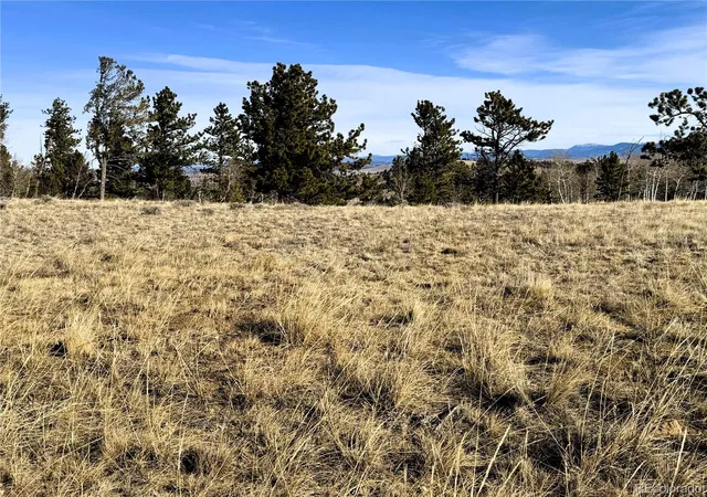 Photo 2 of Land for sale at 620 Wagon Wheel Rd, Hartsel, CO 80449 | MLS# 3306317 | Listing updated on 2026-03-12