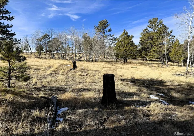 Photo 3 of Land for sale at 620 Wagon Wheel Rd, Hartsel, CO 80449 | MLS# 3306317 | Listing updated on 2026-03-12