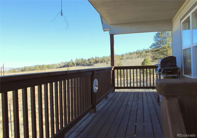 Homes for sale in Hartsel, CO | 2660 Campfire Rd, Hartsel, CO 80449 | MLS# 7486412
