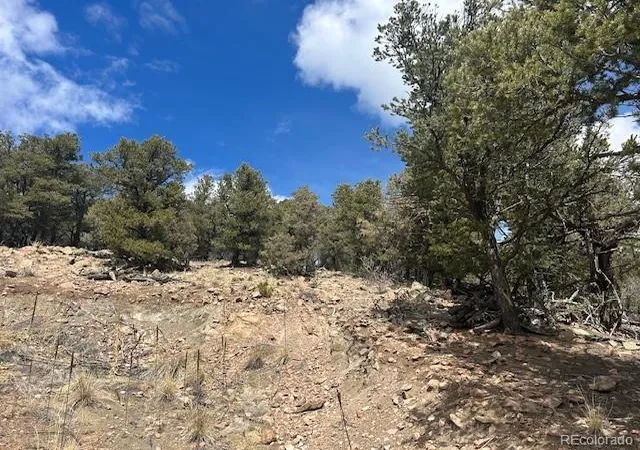 3rd image of 143 Ive Pl, Cotopaxi, CO 81223 | MLS# 5687011
