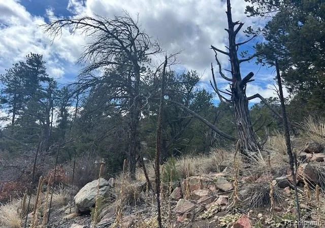 4th image of 143 Ive Pl, Cotopaxi, CO 81223 | MLS# 5687011