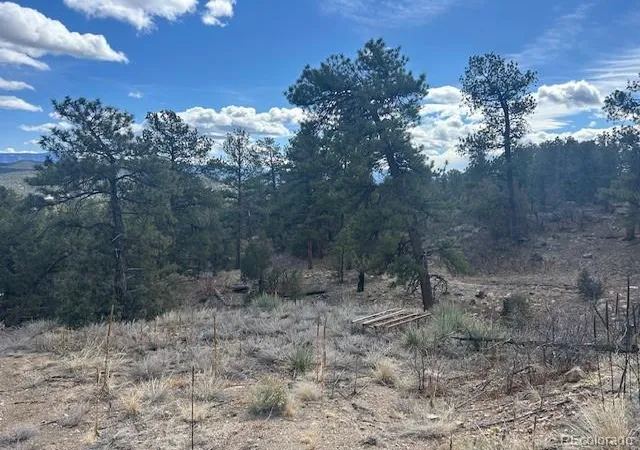 5th image of 143 Ive Pl, Cotopaxi, CO 81223 | MLS# 5687011