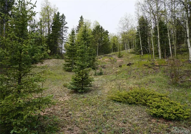 Homes for sale in Cripple Creek, CO | Vacant Land, Cripple Creek, CO 80813 | MLS# 3532623