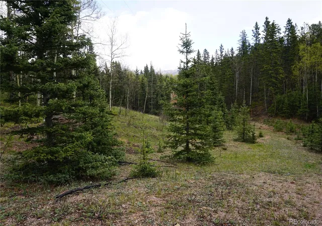 Homes for sale in Cripple Creek, CO | Vacant Land, Cripple Creek, CO 80813 | MLS# 3532623