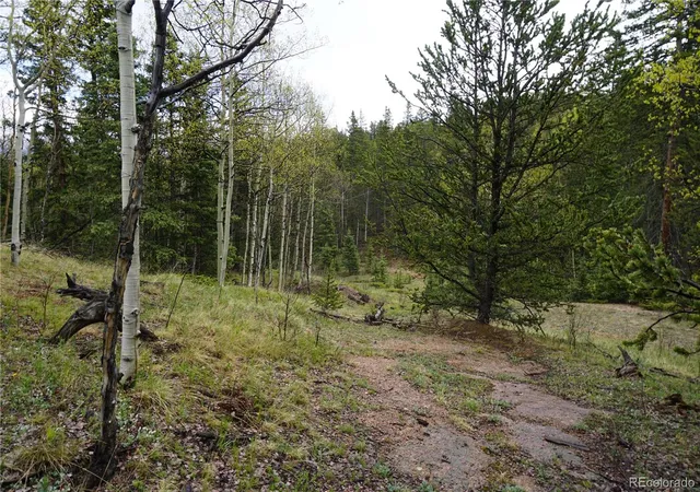 Homes for sale in Cripple Creek, CO | Vacant Land, Cripple Creek, CO 80813 | MLS# 3532623