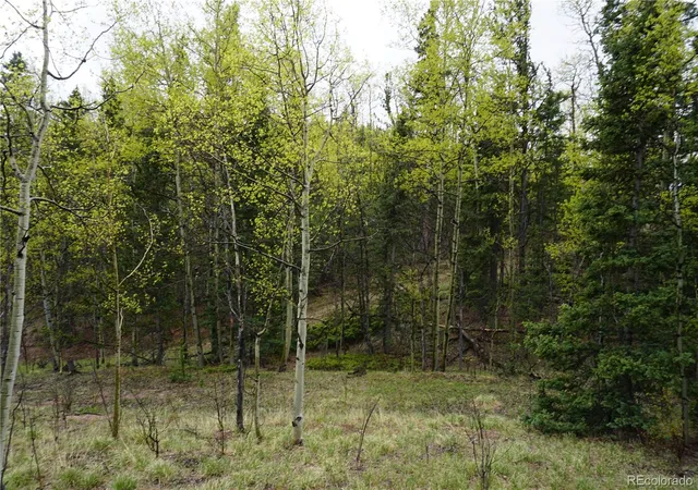 Homes for sale in Cripple Creek, CO | Vacant Land, Cripple Creek, CO 80813 | MLS# 3532623