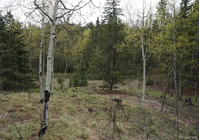 Homes for sale in Cripple Creek, CO | Vacant Land, Cripple Creek, CO 80813 | MLS# 3532623