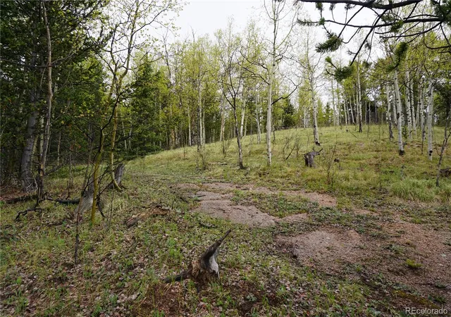 Homes for sale in Cripple Creek, CO | Vacant Land, Cripple Creek, CO 80813 | MLS# 3532623