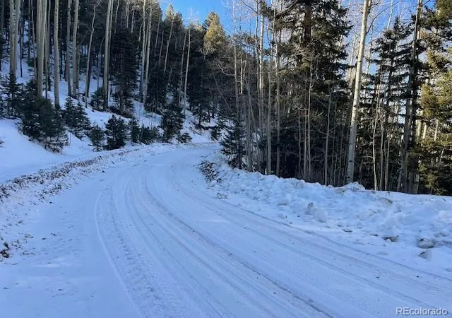 Photo 2 of Land for sale at Lot 5339 Howard Rd, Fort Garland, CO 81133 | MLS# 6420963 | Listing updated on 2026-09-01