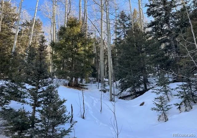 Photo 3 of Land for sale at Lot 5339 Howard Rd, Fort Garland, CO 81133 | MLS# 6420963 | Listing updated on 2026-09-01