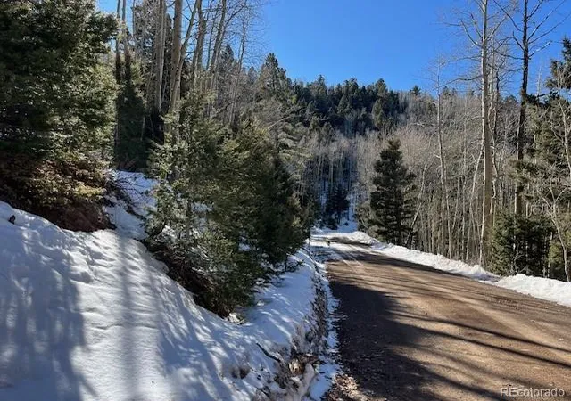 Photo 4 of Land for sale at Lot 5339 Howard Rd, Fort Garland, CO 81133 | MLS# 6420963 | Listing updated on 2026-09-01