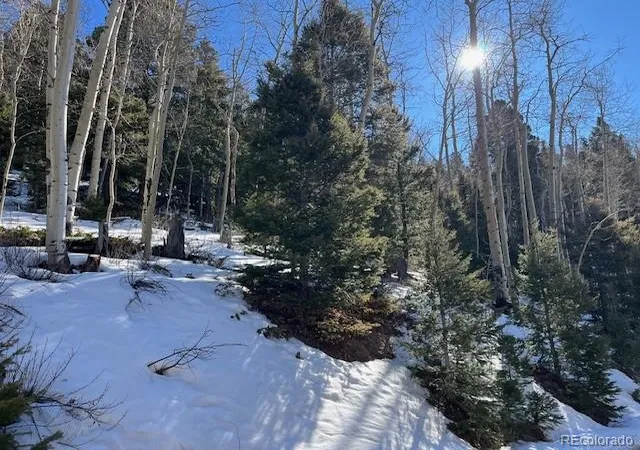Photo 5 of Land for sale at Lot 5339 Howard Rd, Fort Garland, CO 81133 | MLS# 6420963 | Listing updated on 2026-09-01