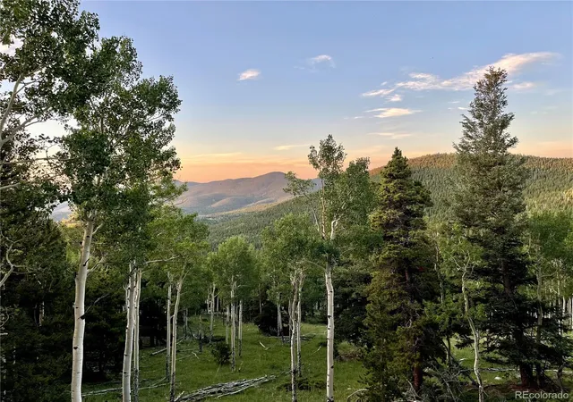 Land for sale at 3665 Beaver Brk Cyn Rd, Evergreen, CO 80439 | MLS# 2035985