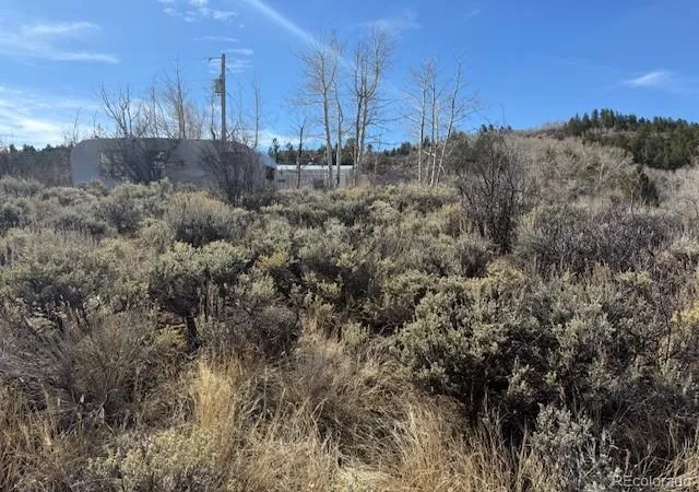 Homes for sale in Heeney, CO | 6895 Heeney Rd, Heeney, CO 80498 | MLS# 3799108