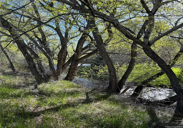 Photo 8 of Land for sale at Cr 361, Buena Vista, CO 81211 | MLS# 9216105 | Listing updated on 2026-08-24