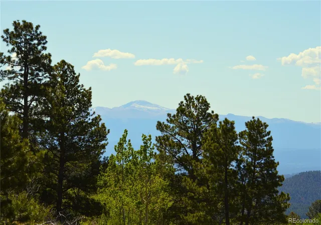 13th image of Hwy 24, Hartsel, CO 80827 | MLS# 8863819