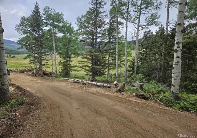 Photo 4 of Land for sale at Lot 2841 Wendt Ln, Fort Garland, CO 81133 | MLS# 8507890 | Listing updated on 2026-04-17