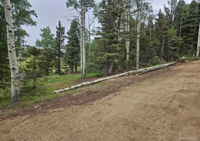 Photo 5 of Land for sale at Lot 2841 Wendt Ln, Fort Garland, CO 81133 | MLS# 8507890 | Listing updated on 2026-04-17