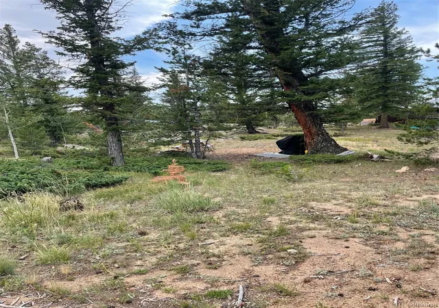 Homes for sale in Red Feather Lakes, CO | 247 Sutiki Dr, Red Feather Lakes, CO 80545 | MLS# 5854977