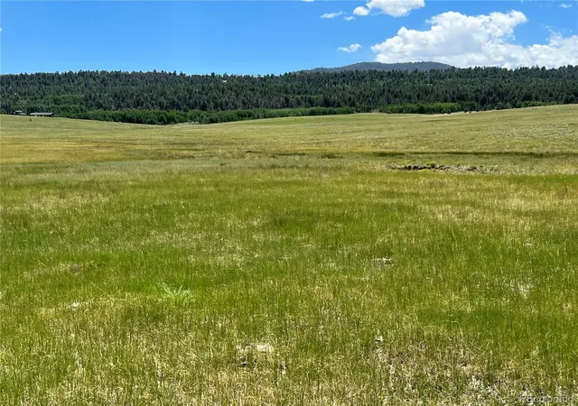3rd image of 3255 Ranch Rd, Hartsel, CO 80449 | MLS# 7095717