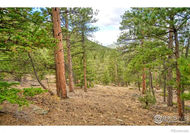 3rd image of 0 Windham Dr, Estes Park, CO 80517 | MLS# IR1050148