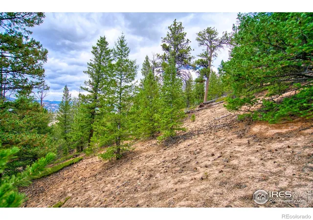 4th image of 0 Windham Dr, Estes Park, CO 80517 | MLS# IR1050148