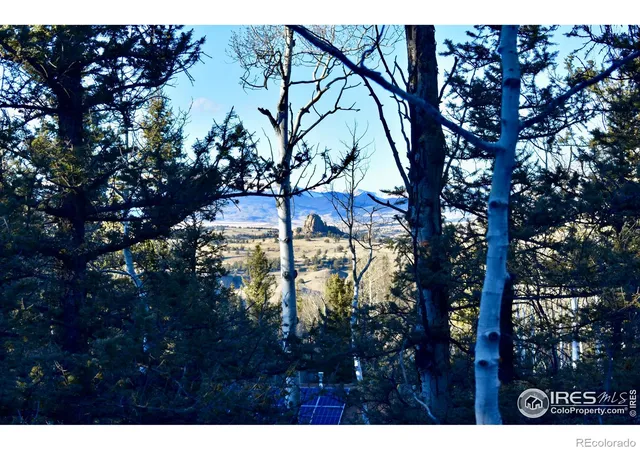 Homes for sale in Jefferson, CO | 972 N Quarter Horse Rd, Jefferson, CO 80456 | MLS# IR1050234