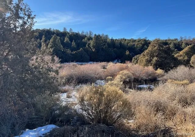 Photo 4 of Land for sale at Lot 6016 Forbes Rd, San Luis, CO 81152 | MLS# 2610303 | Listing updated on 2026-09-03