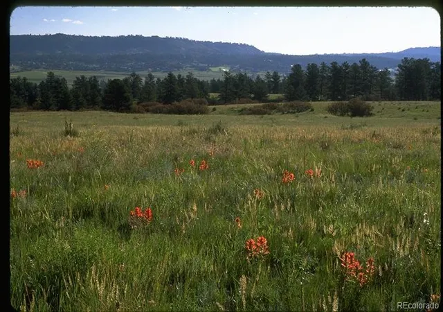 Photo 3 of Land for sale at 2250 Charlford Ln, Sedalia, CO 80135 | MLS# 7073049 | Listing updated on 2026-08-07