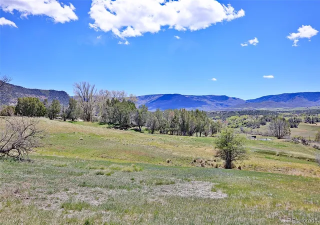 5th image of 58798 Delores Dr, Collbran, CO 81624 | MLS# 9175436