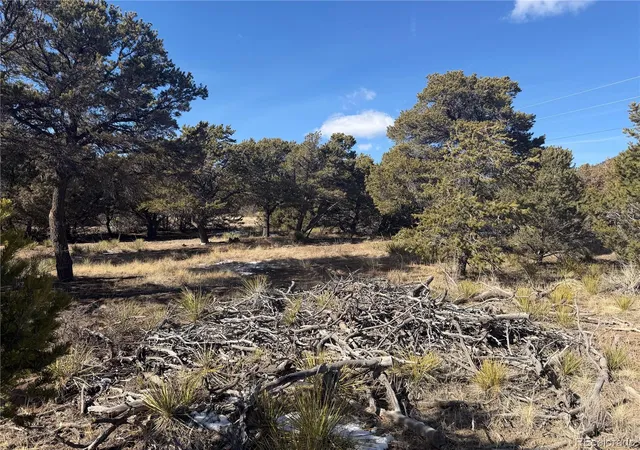 Photo 3 of Land for sale at 390 Cameron Pass Rd, South Fork, CO 81154 | MLS# 6992130 | Listing updated on 2026-07-06