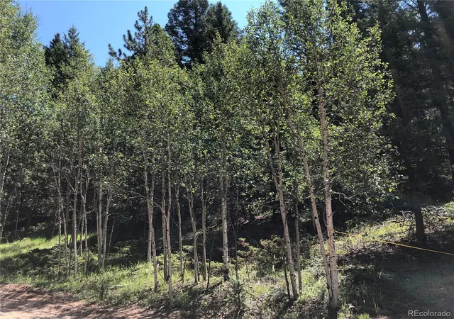 Homes for sale in Florissant, CO | 3015 N Mountain Estates Rd, Florissant, CO 80816 | MLS# 5597954