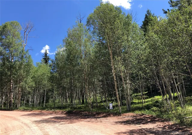 Homes for sale in Florissant, CO | 3015 N Mountain Estates Rd, Florissant, CO 80816 | MLS# 5597954