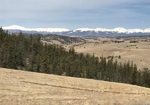 50th image of 1289 Willow Wy, Jefferson, CO 80456 | MLS# 2620490