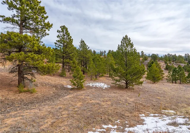 5th image of Lot 2 Spruce Mountain Rd, Cotopaxi, CO 81223 | MLS# 5225931