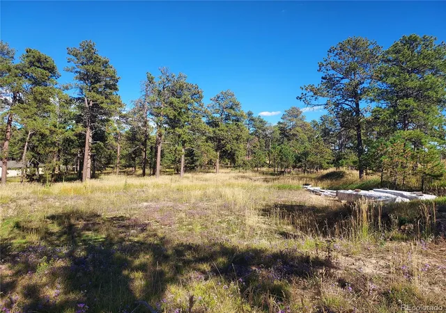Land for sale at 13395 Frank Rd, Colorado Springs, CO 80908 | MLS# 5990739