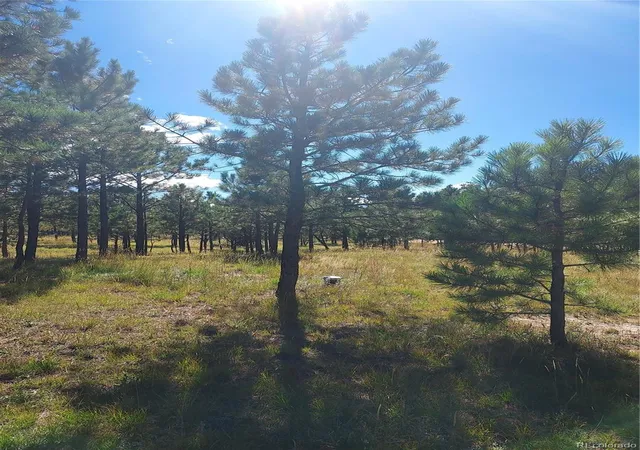 Photo 2 of Land for sale at 13395 Frank Rd, Colorado Springs, CO 80908 | MLS# 5990739 | Listing updated on 2026-09-02