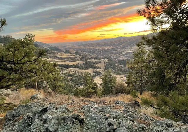 26th image of 9316 Tawny Lynx Rd, Loveland, CO 80538 | MLS# 7133215