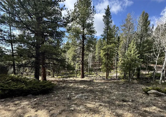 Homes for sale in Buena Vista, CO | 30317 Aspen Turn, Buena Vista, CO 81211 | MLS# 2341732